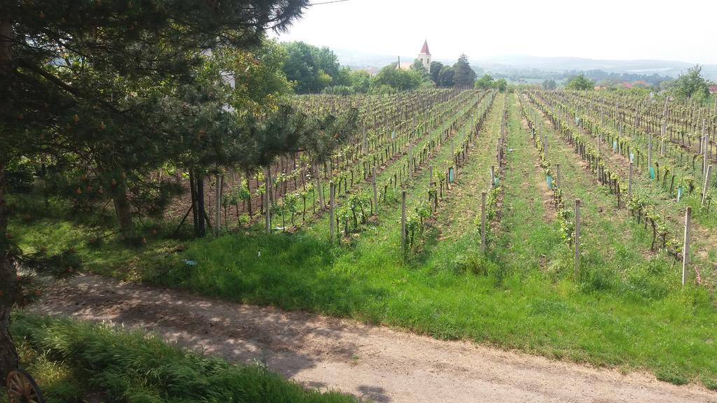 Penzion U Tomcalu Terezín المظهر الخارجي الصورة